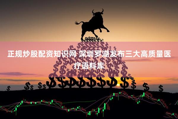 正规炒股配资知识网 深圳罗湖发布三大高质量医疗语料库