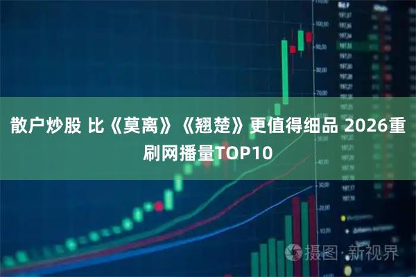 散户炒股 比《莫离》《翘楚》更值得细品 2026重刷网播量TOP10